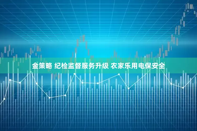 金策略 纪检监督服务升级 农家乐用电保安全