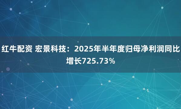 红牛配资 宏景科技：2025年半年度归母净利润同比增长725.73%