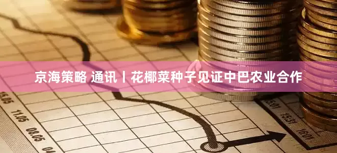 京海策略 通讯丨花椰菜种子见证中巴农业合作