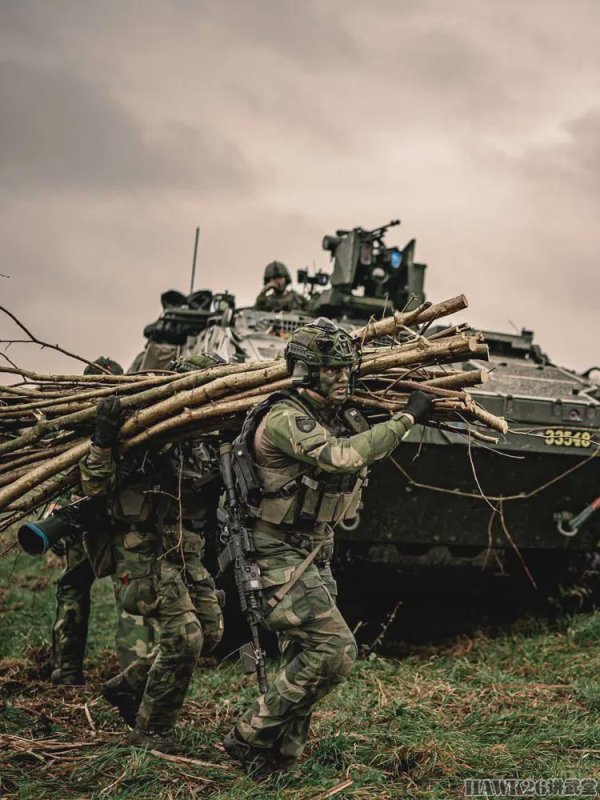 银易配资 瑞典陆军展示M4A卡宾枪 仓促采购的过渡武器 填补尴尬装备空白期