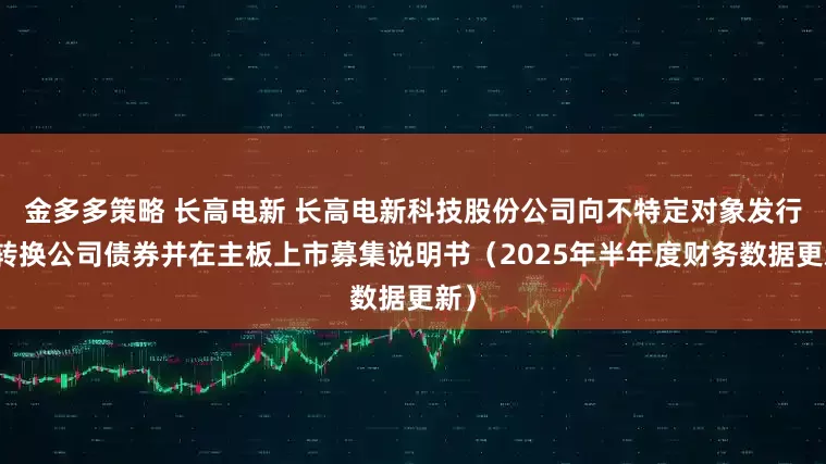 金多多策略 长高电新 长高电新科技股份公司向不特定对象发行可转换公司债券并在主板上市募集说明书（2025年半年度财务数据更新）